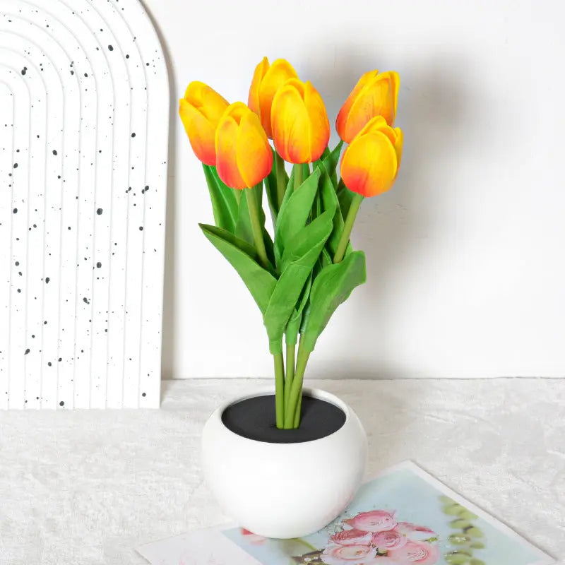 Lampe Tulipe LED Rechargeable - Veilleuse Tactile USB Blanc Chaud Aura Setup